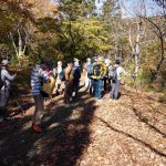 11月16日（日） JRハイキング（新企画コースで合戦の真相に迫る） 　　賤ヶ岳古戦場の東野山砦と天神山砦を歩く